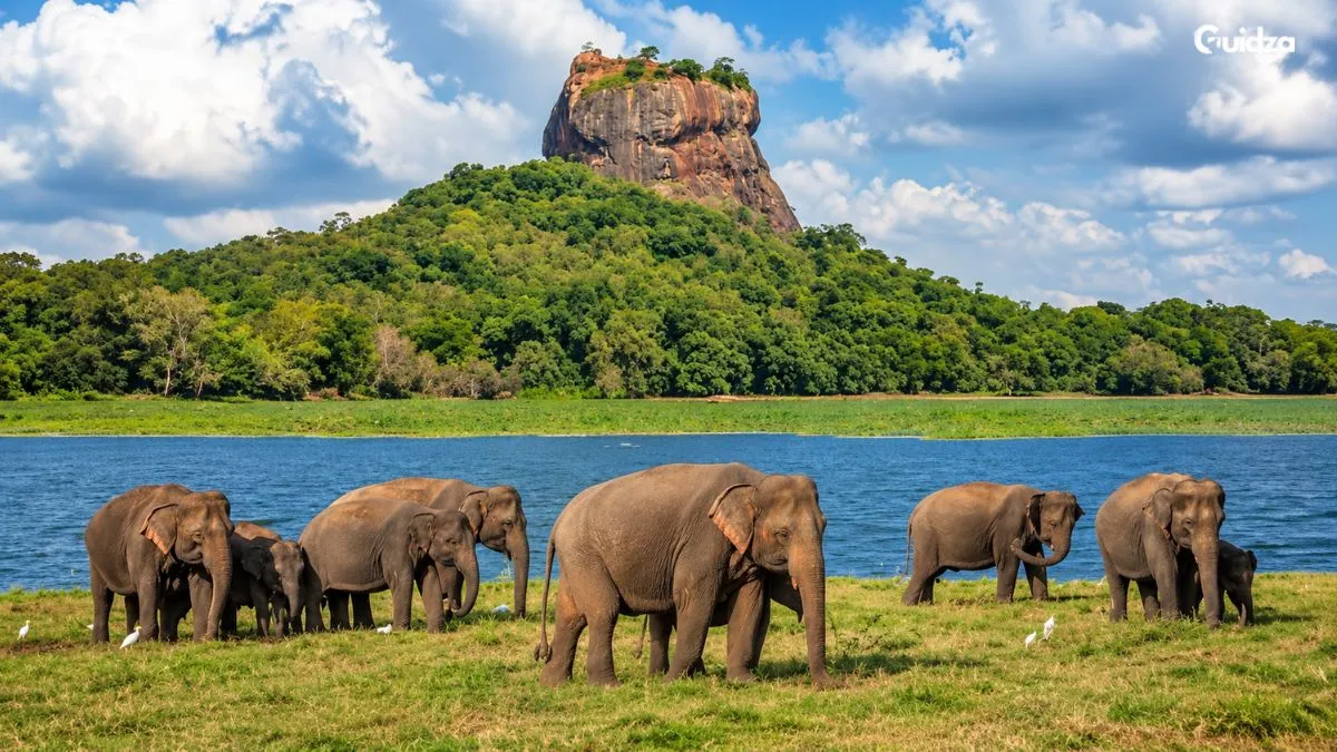 Sigiriya and Dambulla